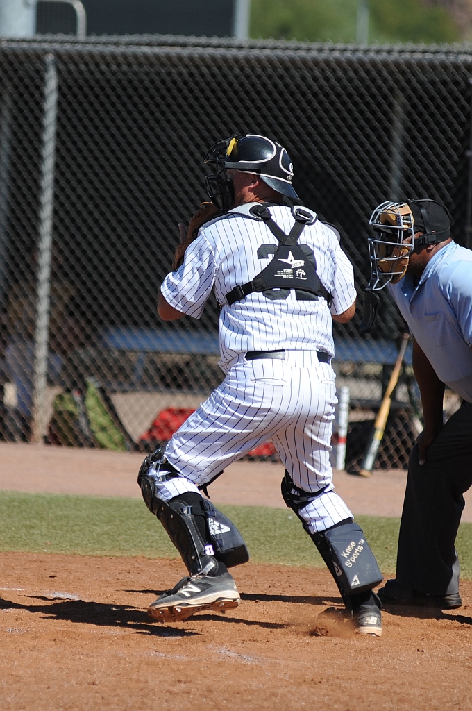 Seals_2017-10-12 (579).JPG - (c)2010 DeVetter